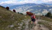 Randonnée Marche Manigod - ARAVIS: POINTE D'ORSIERE VARIANTE - Photo 4