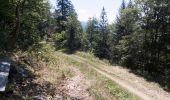 Percorso Marcia Autrans-Méaudre en Vercors - Autrans - Gève - Bec de l'Orient - La Buffe - Photo 8