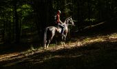 Randonnée Cheval Libin - Chevauchée entre Lesse et Lomme - Photo 1