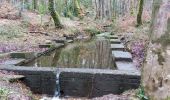 Trail Walking Camors - PR_56_Camors_BA_02_L-Eau_Circuit1b_20230218 - Photo 11