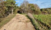 Randonnée Marche Coussey - de Coussey à Vouthon  - Photo 3