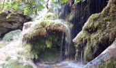 Excursión Senderismo Montauroux - Le long de la Siagne du Pont de la Siagne D2562 Bambouseraie - Photo 1