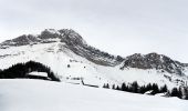 Randonnée Raquettes à neige École - Chalets-de-La-FULLIE-2021-01-20 - Photo 1