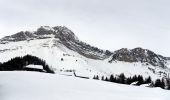 Excursión Raquetas de nieve École - 2021-01-20 - Photo 1