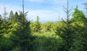 Trail Walking La Roche-en-Ardenne - Sanree 300523 - Photo 13