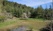 Trail Walking Plan-d'Aups-Sainte-Baume - Plan d'Aups-Sainte Baume - Photo 14