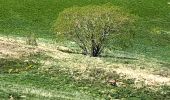 Tour Wandern La Grave -  Lac Goélon. Le Chazelet  - Photo 17