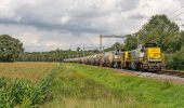 Tour Zu Fuß Lochem - Gorsselse Heide route - Photo 8