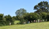 Tour Wandern Limburg - Limbourg BIO 7,5 km le 29-07-2024 - Photo 2