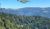 Trail Walking Ventron - Autour du bussant  - Photo 1