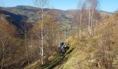 Trail Walking Arrens-Marsous - Arrens Marsous G3 2024 aulhe - Photo 1