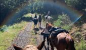 Trail Horseback riding Ban-de-Laveline - Ban de Laveline- Fraize - Photo 5