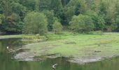 Tocht Te voet Roetgen - Kall-Rur-Panorama-Route - Photo 10