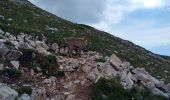Percorso Marcia Saint-Agnan-en-Vercors - 38 Grand Veymont par le plateau - Photo 2