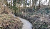 Trail Walking Dour - Wiherie 18,4 km - Photo 12