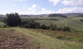 Tocht Stappen Le Robert - Pointe Savane plage des Resignier - Photo 7