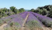Trail Walking Taulignan - Taulignan chemin de la soie 4km - Photo 1