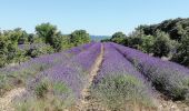 Tour Wandern Taulignan - Taulignan chemin de la soie 4km - Photo 1