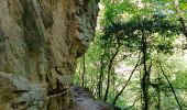 Tour Wandern Thuès-Entre-Valls - Gorges de Carança - Annie le 29 juin 2022 - Photo 15