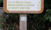 Tocht Hybride fiets La Roche-sur-Yon - la roche sur yon terres noires complexe  sportif  - Photo 2