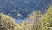 Tocht Stappen Rimbach-près-Masevaux - Les deux lacs - Photo 4