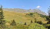 Tour Wandern Les Contamines-Montjoie - Le Signal - col de la fenêtre  - Photo 10