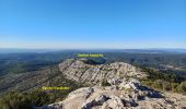 Tocht Stappen Le Tholonet - Le Tholonet -La Croix de Provence Par les Lacs Zola et Bimont - Photo 11