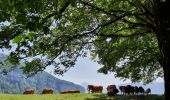 Trail Walking Voreppe - Voreppe - Rocher de Bellevue - Photo 14