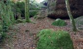 Tour Wandern Turquestein-Blancrupt - Saint Quirin le Kiboki - Photo 3