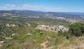 Trail Walking Cassis - les crêtes  de La Ciotat - Photo 2