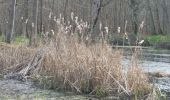 Randonnée Marche Fontainebleau - parcours des jonquilles - Photo 3