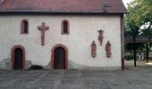 Tocht Te voet Collenberg - Burgberg-Ausblick - Photo 2