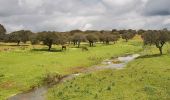 Tour Zu Fuß Serradilla - Ruta de Torrejón el Rubio - Photo 3