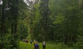 Tocht Stappen Autrans-Méaudre en Vercors - La grande Breche - Photo 20