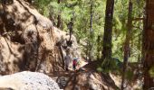 Tocht Te voet El Paso - Wikiloc - Caldera de taburiente Los Brecitos to Parking Barranco de las Angustias - Photo 19