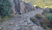 Tocht Stappen Piana - tour des châtaigniers de palani - Photo 15