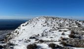 Trail Walking Saint-Vallier-de-Thiey - Montagne de Thiey  - Photo 9