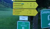 Tour Zu Fuß Hüttschlag - Naturkundlicher Lehrweg ins Schödertal - Photo 8