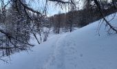 Excursión Raquetas de nieve Allos - Rando Raquettes Val d'Allos  - Photo 6