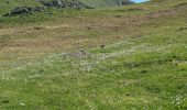 Tocht Stappen Entraunes - Cool de Gialorgues et lacs d'Estrop depuis Saint Sauveur - Photo 8