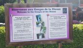 Trail Walking Les Houches - Les Gorges de la Diozaz  - Photo 12
