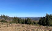 Tour Wandern Girmont-Val-d'Ajol - Les étangs de Girmont et le prieuré d’Herival - Photo 8