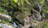 Percorso Marcia Sondernach - 2023-05-19 WE Marche Bivouac Massif du Hohneck - Photo 11