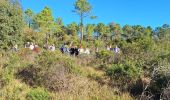 Tour Wandern Fréjus - Malpey avec pierre le 15/11/2024 - Photo 3