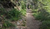 Trail Walking Ayent - le parzet  - Photo 3