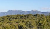 Tocht Stappen Peynier - la plaine de la garde - Photo 5