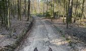 Trail Horseback riding Florenville - Les Epioux  - Photo 1