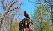 Trail Walking Tongeren - reser e de kevie - Photo 1