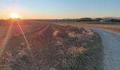 Trail Walking Valensole - plateau de valensole . ravin des cognets . ravin de la combe  - Photo 7