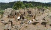 Tocht Stappen La Londe-les-Maures - De Lalonde-Valcros au dolmen de Gautabry - Photo 5